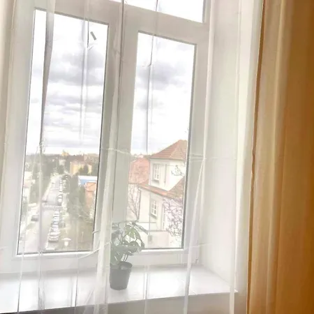 Vinohrady * Брно